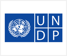 UNDP Live Lebanon Project 