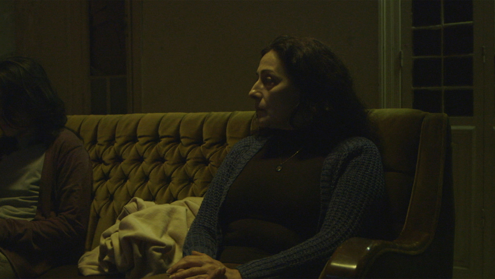 Special Jury Award - Lebanese Students Competition