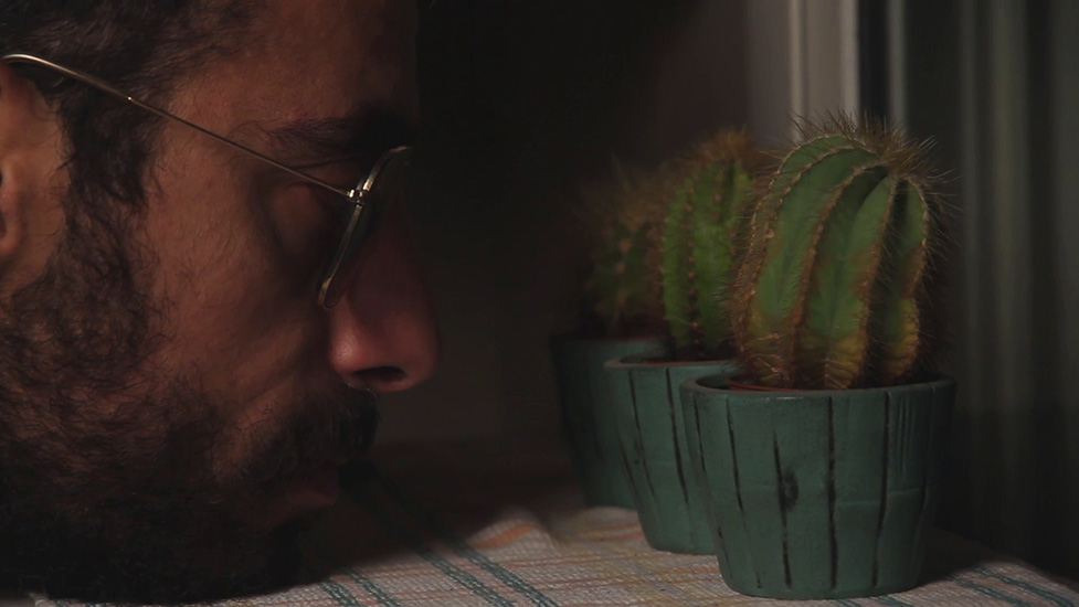 Golden Olive Award, Best Fiction - Lebanese Students Competition