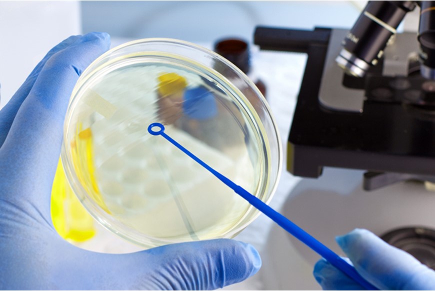1ST CELL BIOLOGY WORKSHOP