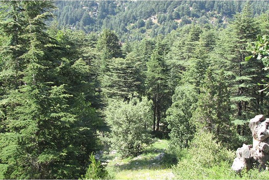 CELEBRATING EARTH DAY: HIKE AND PHOTO COMPETITION