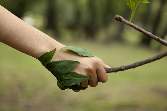 HOW OUR CURRENT RELATIONSHIP TO NATURE HELPS PANDEMICS TO EMERGE 