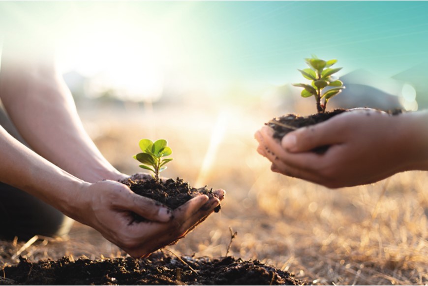 EXPLORING THE VITAL ROLE OF PLANTS IN OUR LIVES