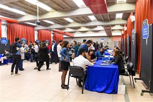 Scouts in Business 36