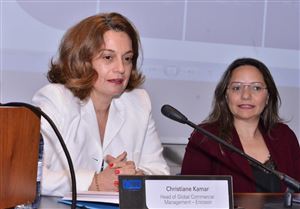 CSR-HR Conference: Linking Scouts with Professional Development 2