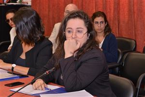 Consocialtional Democracy After 100 Years 9