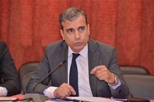 Consocialtional Democracy After 100 Years 14