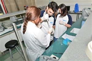 FNAS Hosts Cell Biology Workshop for School Students 11