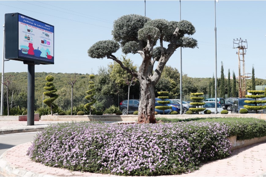 NDU-NLC Partners with USAID and the Municipality of Bechmizzine to Enhance Recyclable Waste Management 2