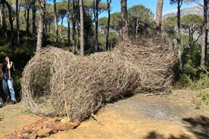 NDU Architecture Students Win First Place for Land Art Installation in Bkassine 2