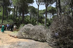 NDU Architecture Students Win First Place for Land Art Installation in Bkassine 3