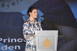 NDU wins SDG Milestones Award  29