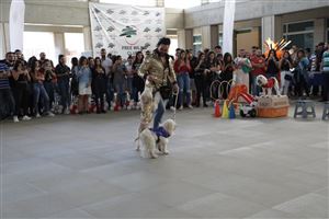 NLC Recruitment Day 2019 3