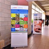 Road-Map to Food Product Development  19