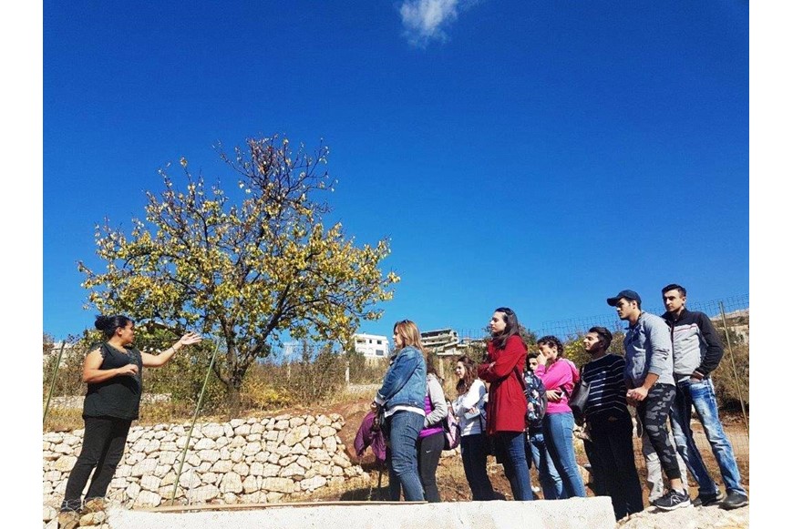 Saving the Planet One Cedar Tree at a Time 1