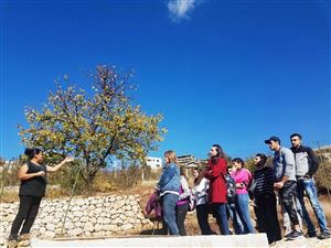 Saving the Planet One Cedar Tree at a Time 1