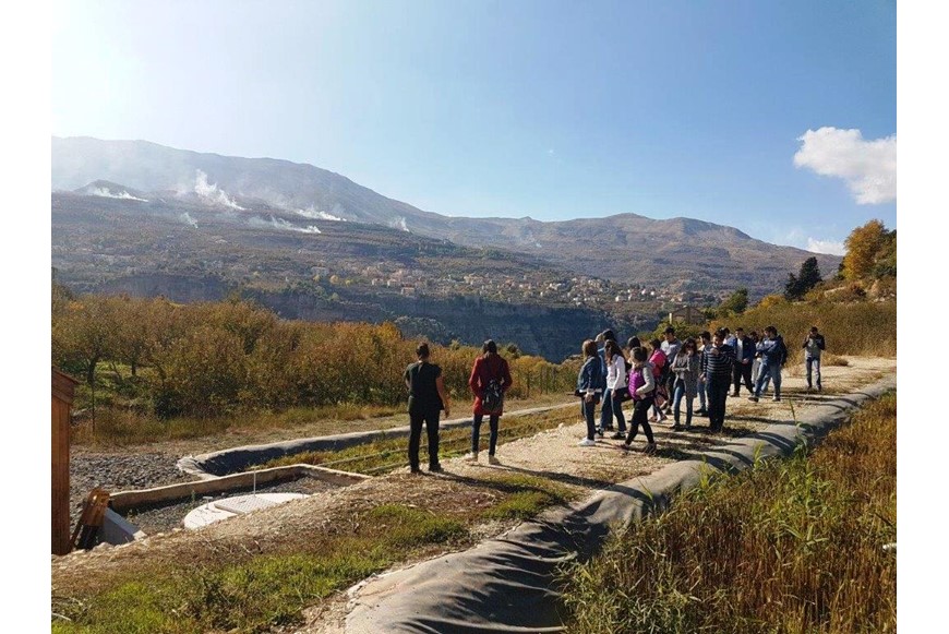 Saving the Planet One Cedar Tree at a Time 2