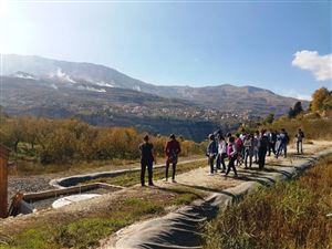 Saving the Planet One Cedar Tree at a Time 2