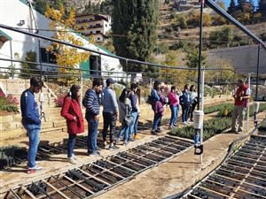 Saving the Planet One Cedar Tree at a Time 3