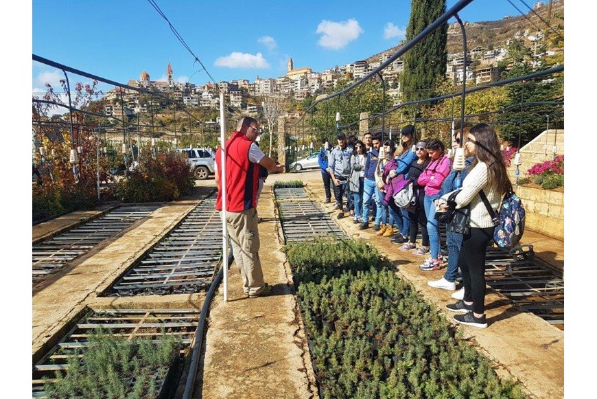 Saving the Planet One Cedar Tree at a Time 4
