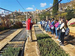 Saving the Planet One Cedar Tree at a Time 4