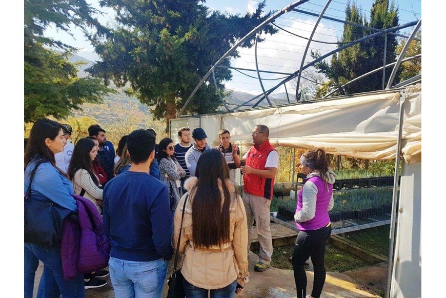 Saving the Planet One Cedar Tree at a Time 5