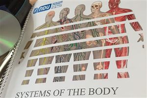 Service Learning 2018 11