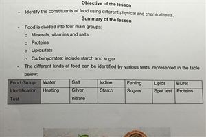 Service Learning 2018 8