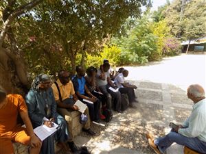 Study Abroad In Lebanon-Nigeria 3