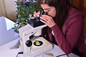 THE FNAS Displays the Herbs and Spices in Our Life Exhibition 5