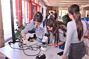 THE FNAS Displays the Herbs and Spices in Our Life Exhibition 8
