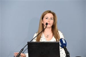 The Action Plan 2017 11