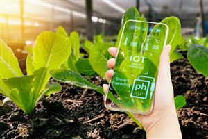 The FNHS Marks World Food Safety Day in a Global Webinar 1