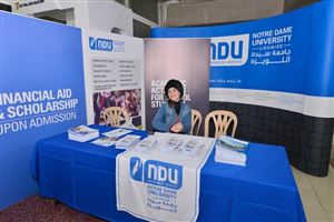 The Film Language 2017 12