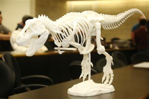 Third 3D Printing Day 15