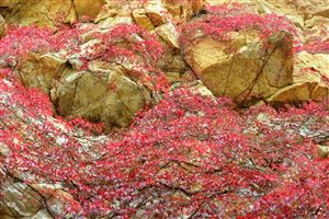 Trip to Akoura 2017 29