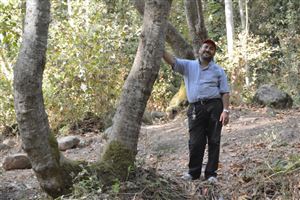 Trip to Qannoubine 2016 18