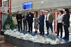 Be a Star on the Christmas Charity Tree  24