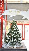 Be a Star on the Christmas Charity Tree  49