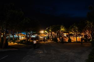 Inside NDU: Take a Closer Look at our University 33