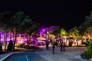 Inside NDU: Take a Closer Look at our University 47