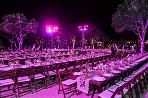 Inside NDU: Take a Closer Look at our University 51